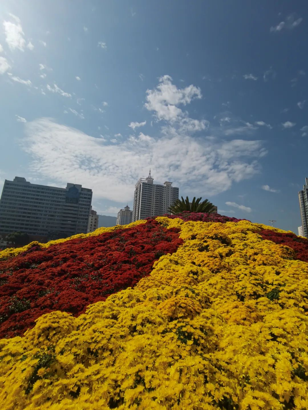 兰州东方红广场最新状况,兰州东方红广场改建前的照片