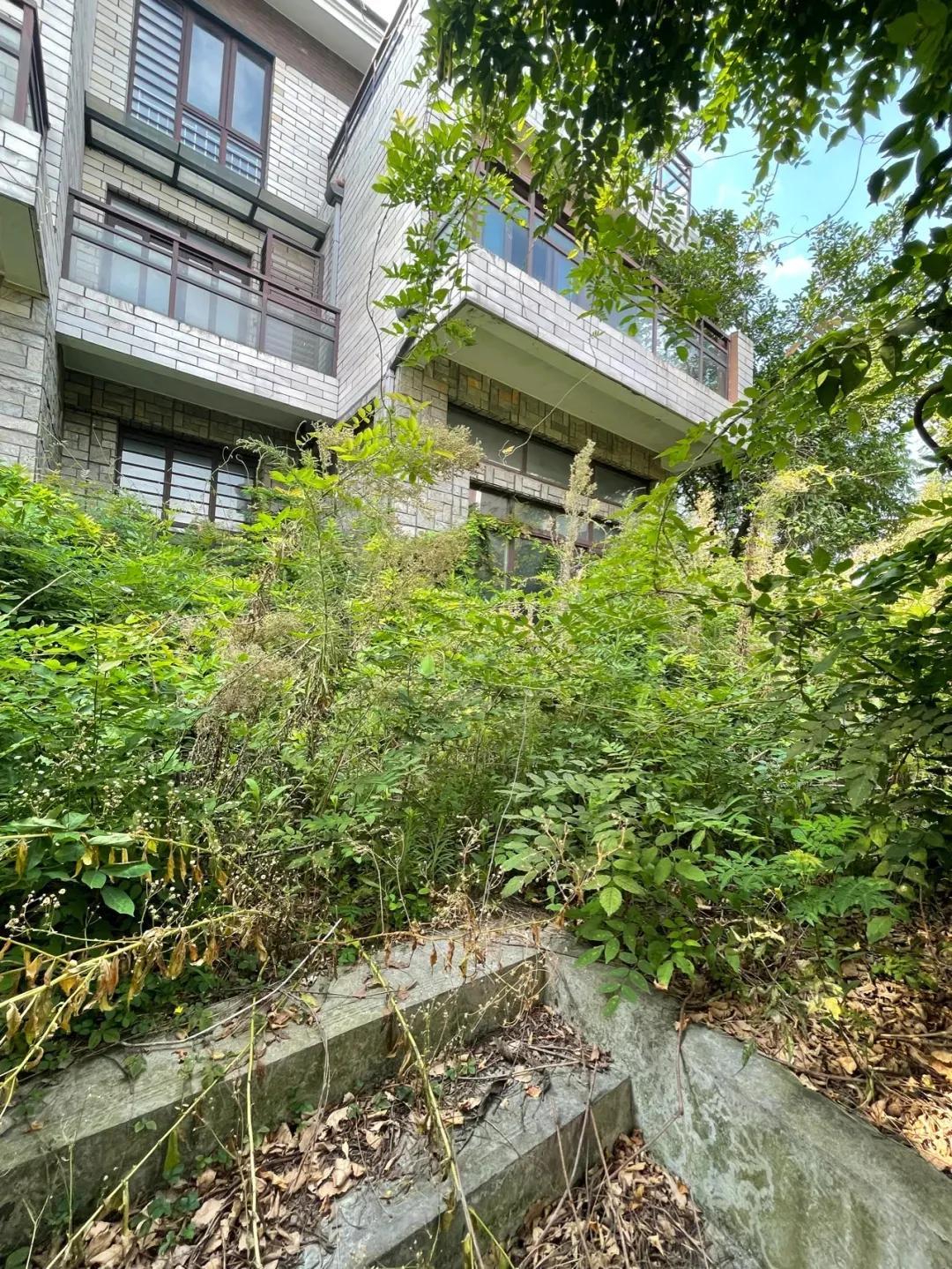 痛心的购房经历,嘉兴买房后悔的真实感受