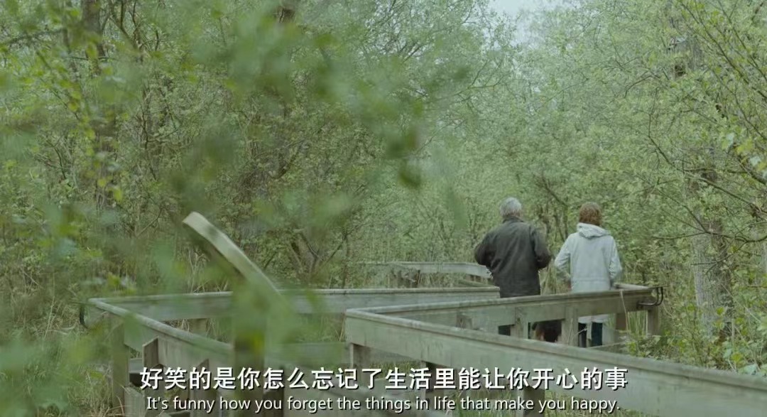 汪小菲曝大s服用违规药物,汪小菲曝大s长期服用违禁药物