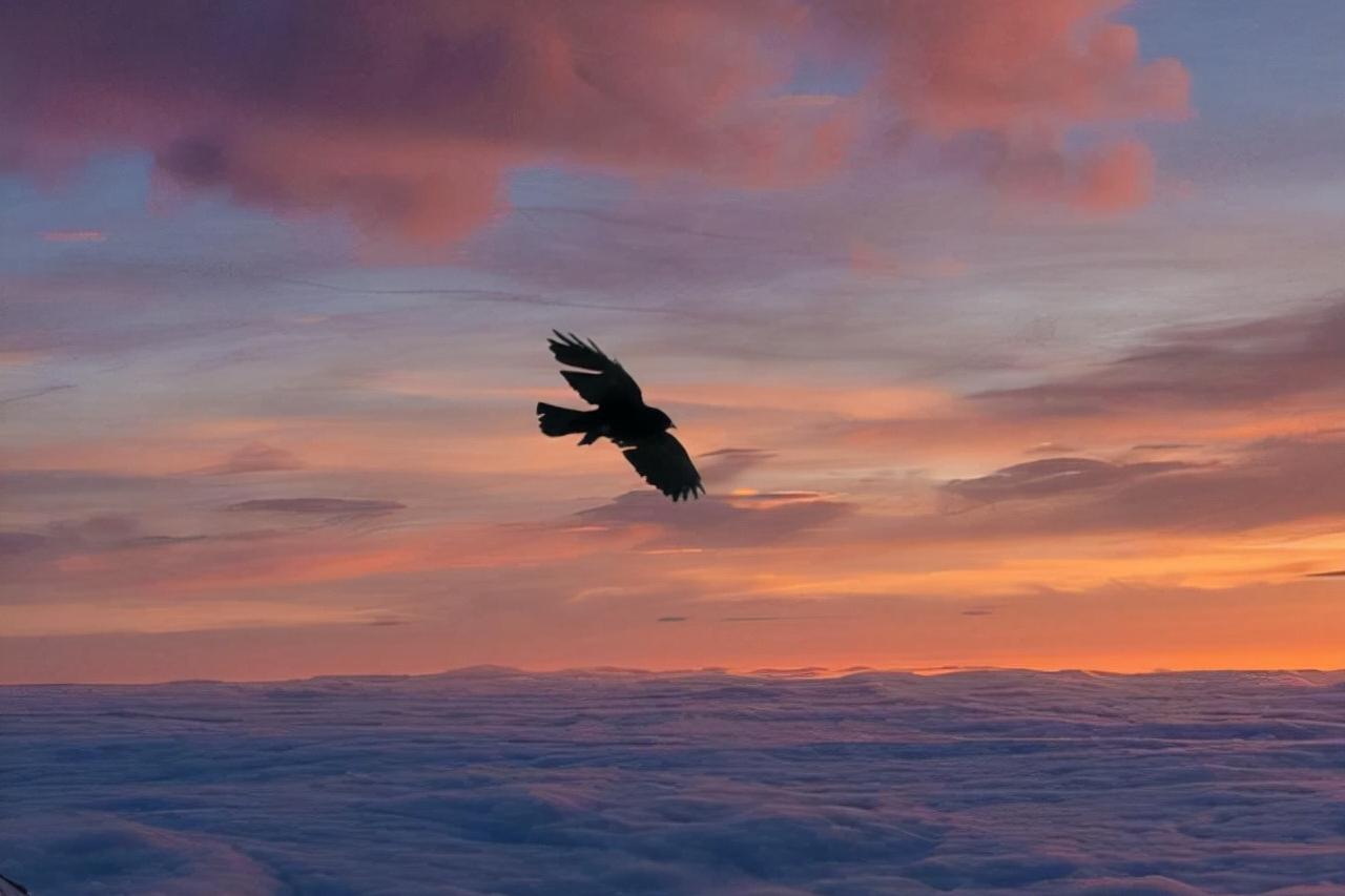 人到中年从三个细节看透人生,人到中年不必刻意去做人