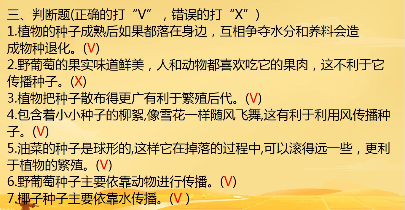 四年级下册科学种子里孕育新生命,教科版科学四年级下册果实和种子