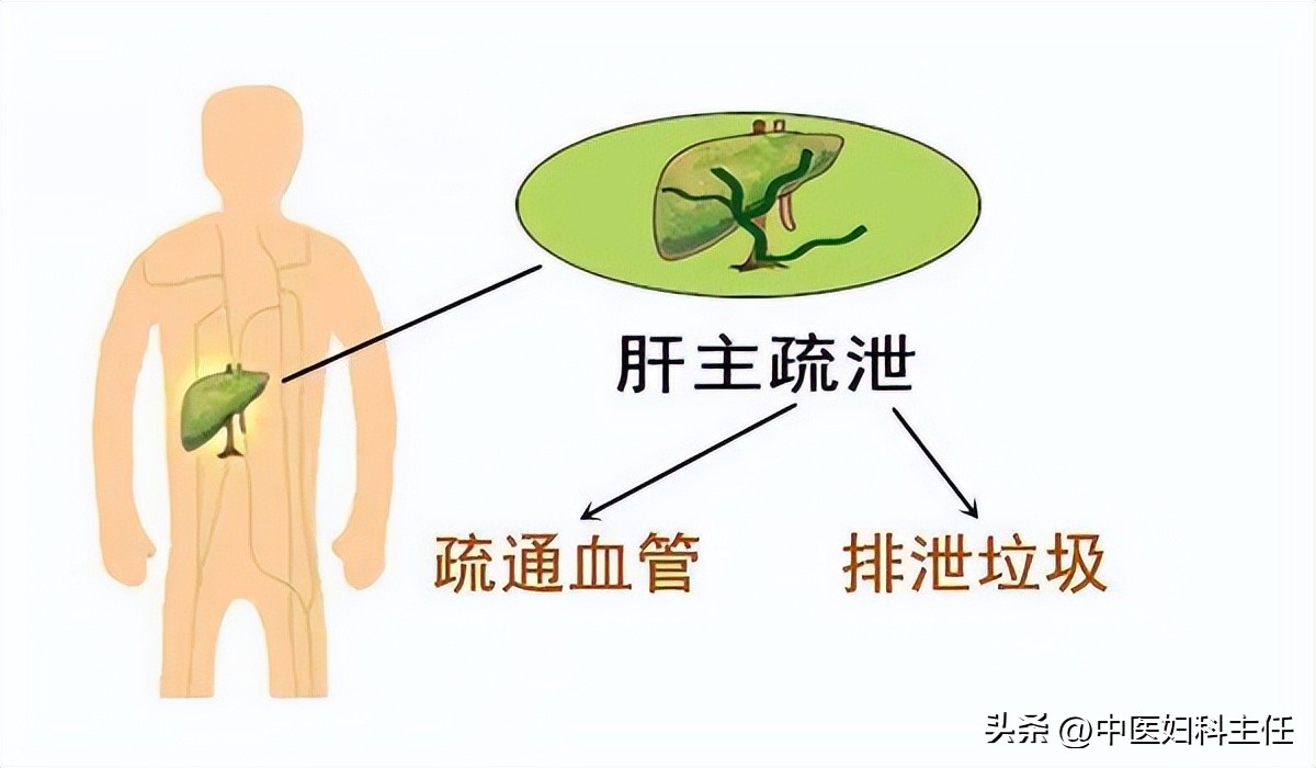 卵巢囊肿不过是痰湿裹在了卵巢上，痰化了就消了！