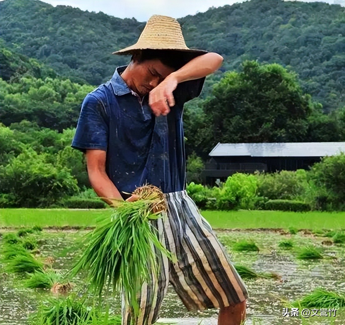 东北小伙海参崴,东北小伙去海参崴创业