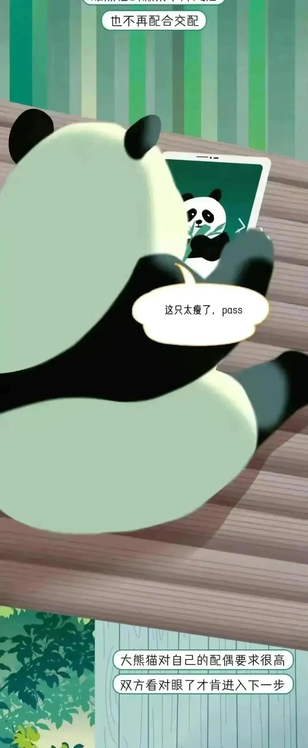 人类受孕时长是多久,人类正常受孕多久