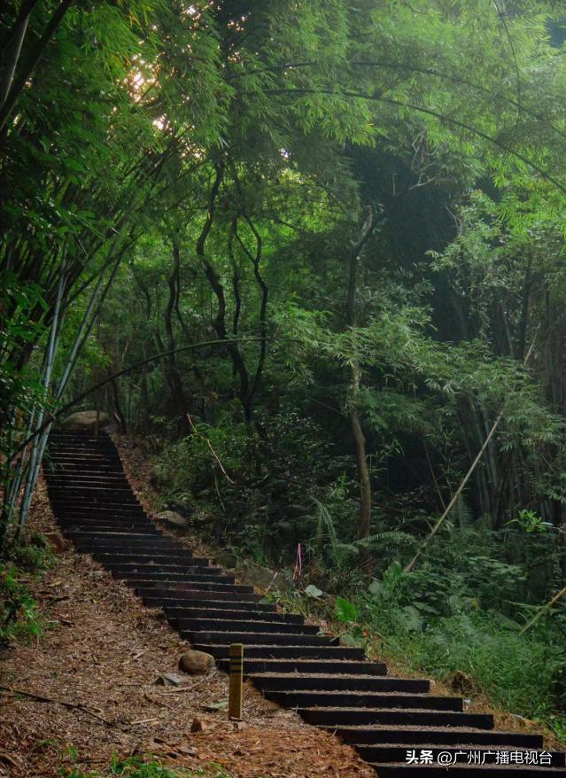 广州室内避暑的地方,广州夏日避暑胜地