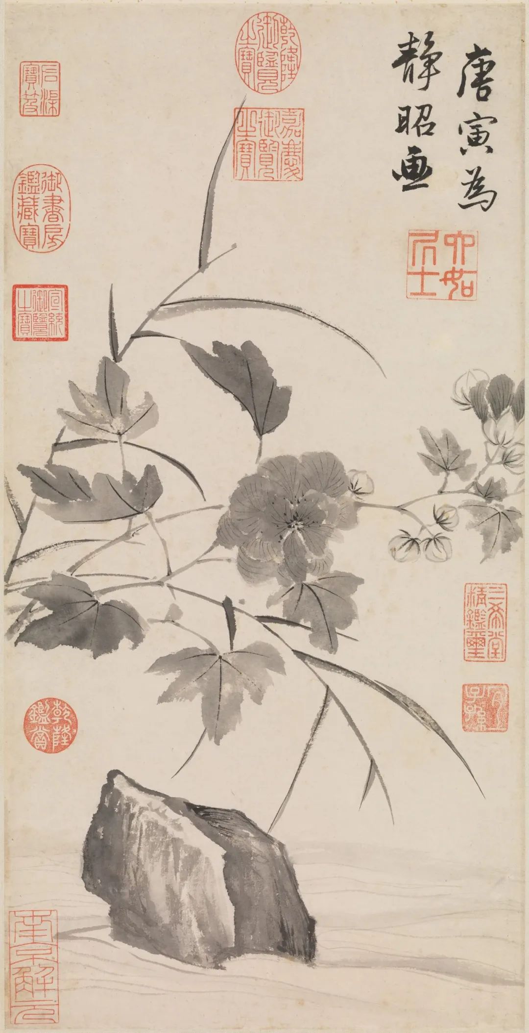 慕容看世界的视频,慕容看世界所有视频