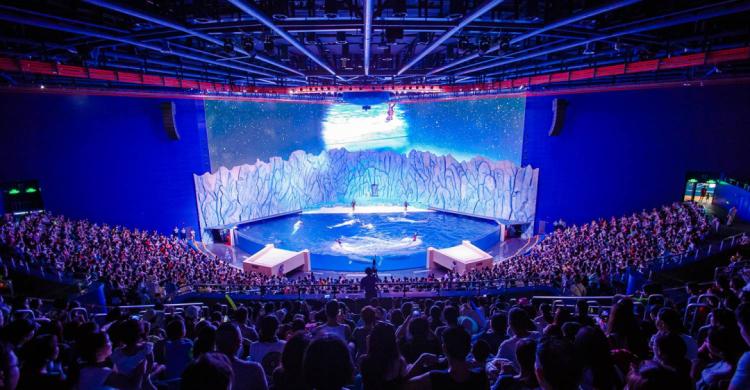 珠海长隆酒店畅玩门票,珠海长隆马戏酒店儿童乐园