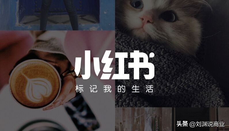 小红书和抖音的区别是什么,小红书与抖音的区别在哪