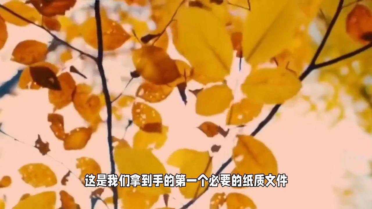 在读护理生怎么注册护士执业证,护士执业证书注册信息查询入口