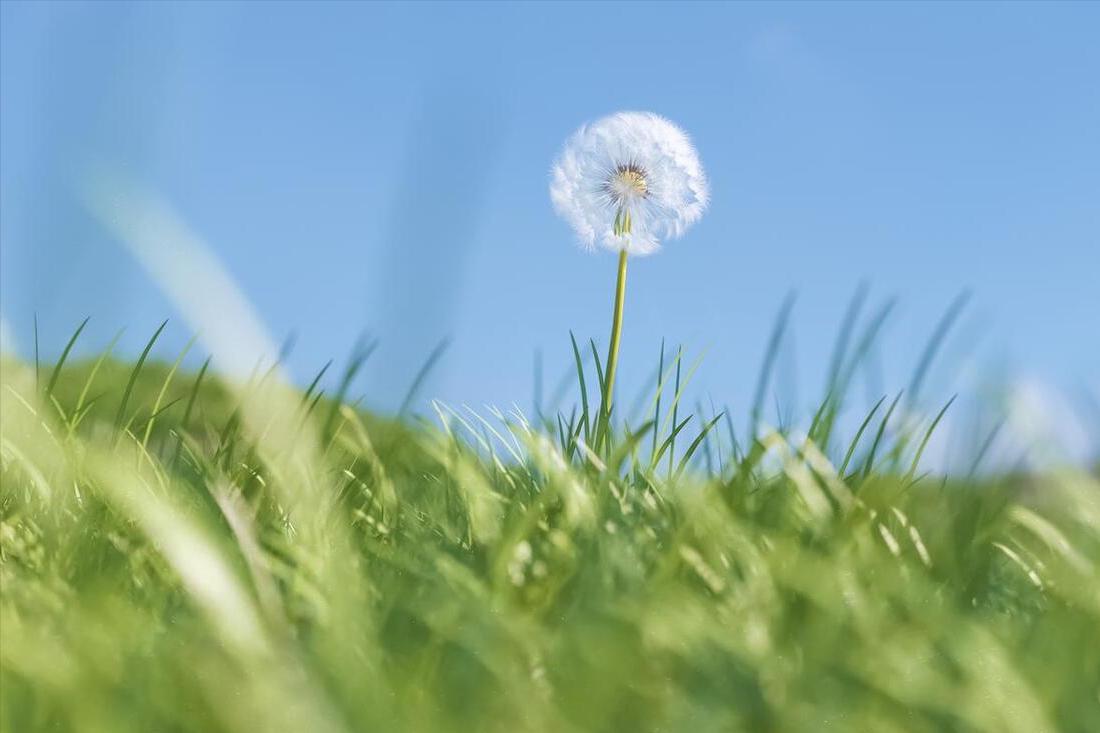 老话说“年景好不好，四月看八九”啥意思？八九指哪天？答案来了