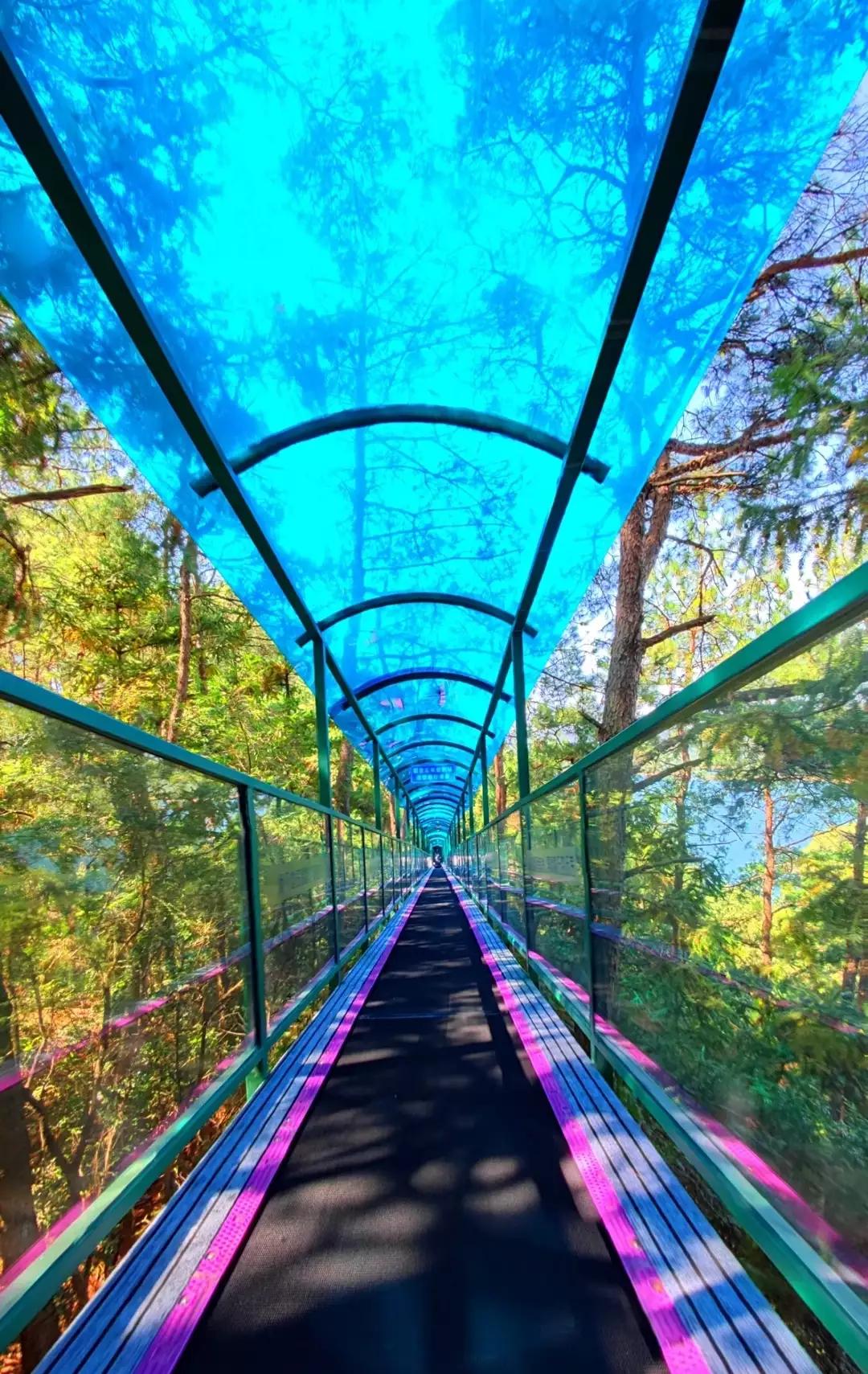 浙江最值得去的十大景区,浙江玉环十大景区排名