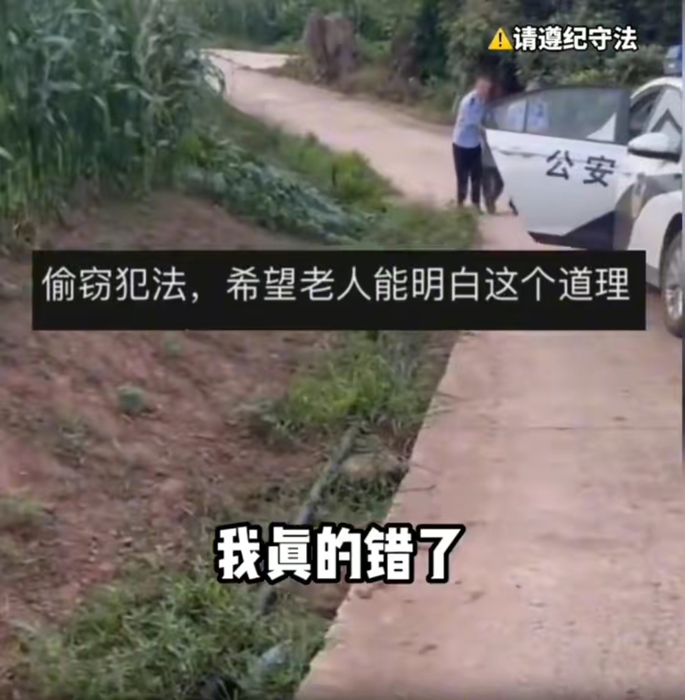 乡村吸引年轻人回村创业办法,年轻人回农村创业需要什么条件