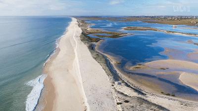 原来它们也有“性丑闻”，这片看完让我大开眼界