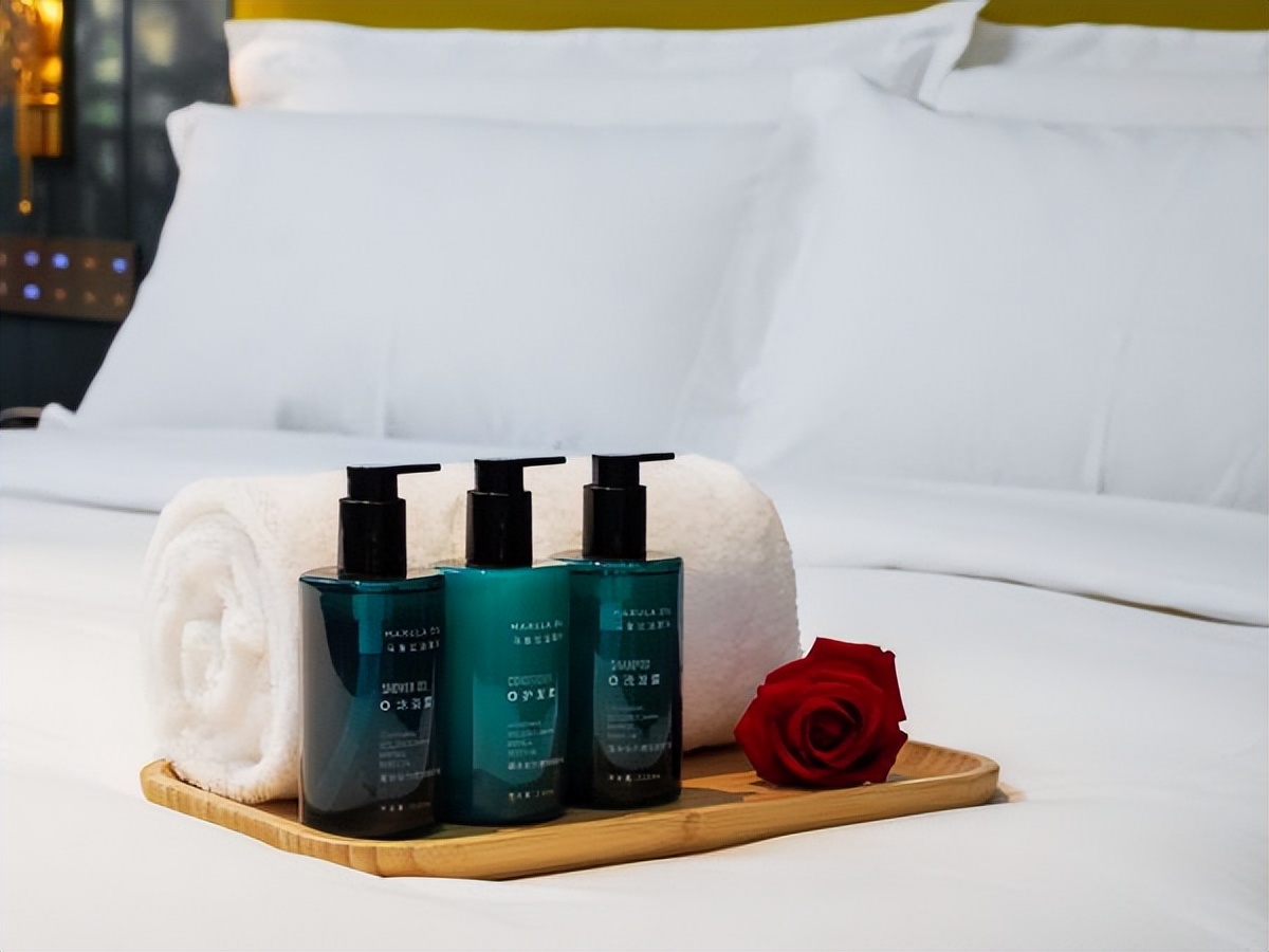 凉山州未来酒店推荐,会东美豪丽致酒店算几星级