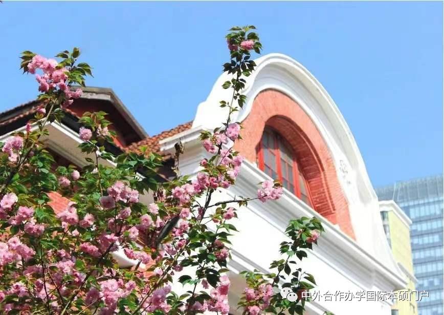 上海理工大学中英国际学院申请,上海理工大学中英国际学院正规