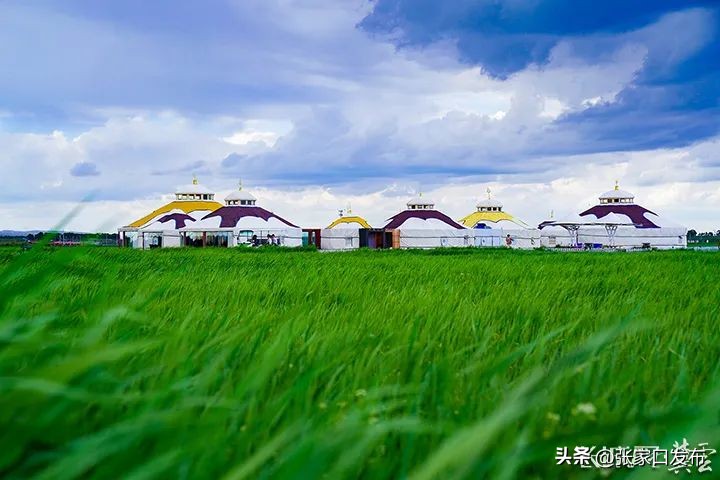 来坝上草原的第二天,坝上草原真实感受