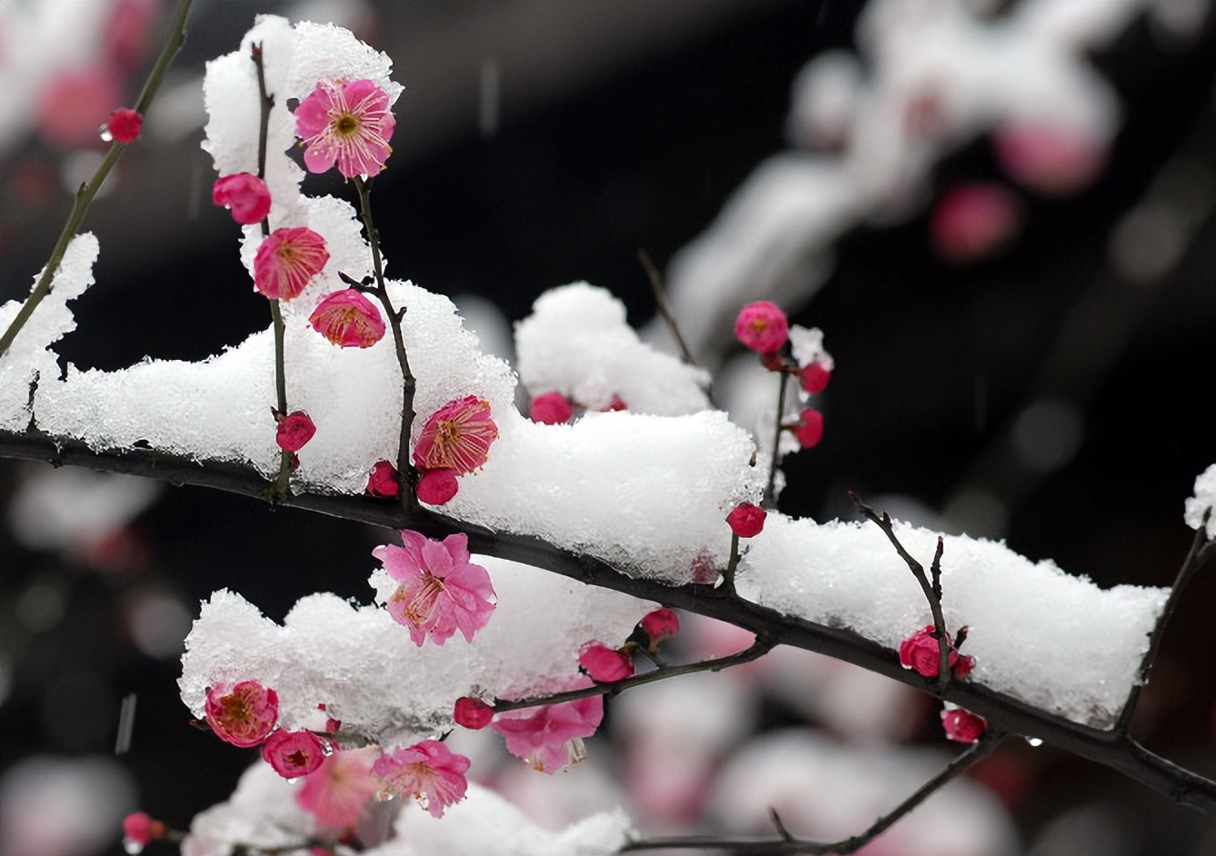 意境深远的绝美古诗词,古诗史上最唯美最断肠的七首诗词