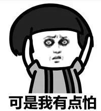 动物交，配时间表，最短0.3秒，最长的竟然是……