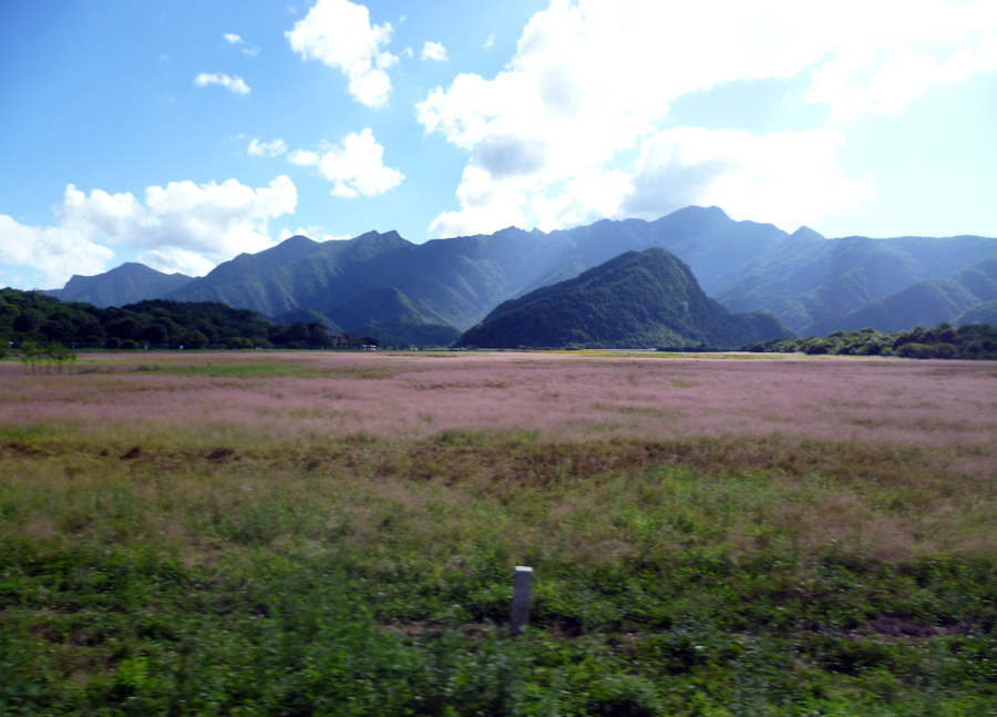 带你欣赏大九湖的美景,大九湖之旅