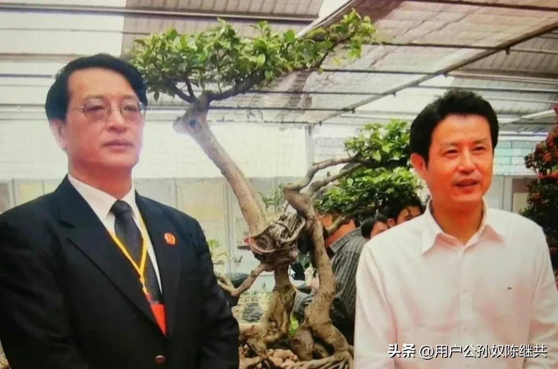 天津女排张娜最新消息,全国女排锦标赛回放天津女排