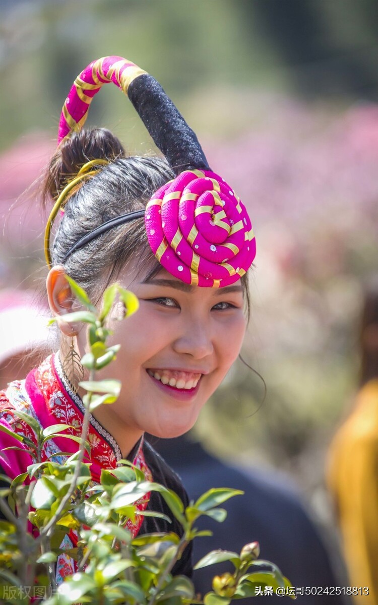 宁德市溪塔葡萄沟旅游景区,穆云乡溪塔葡萄沟