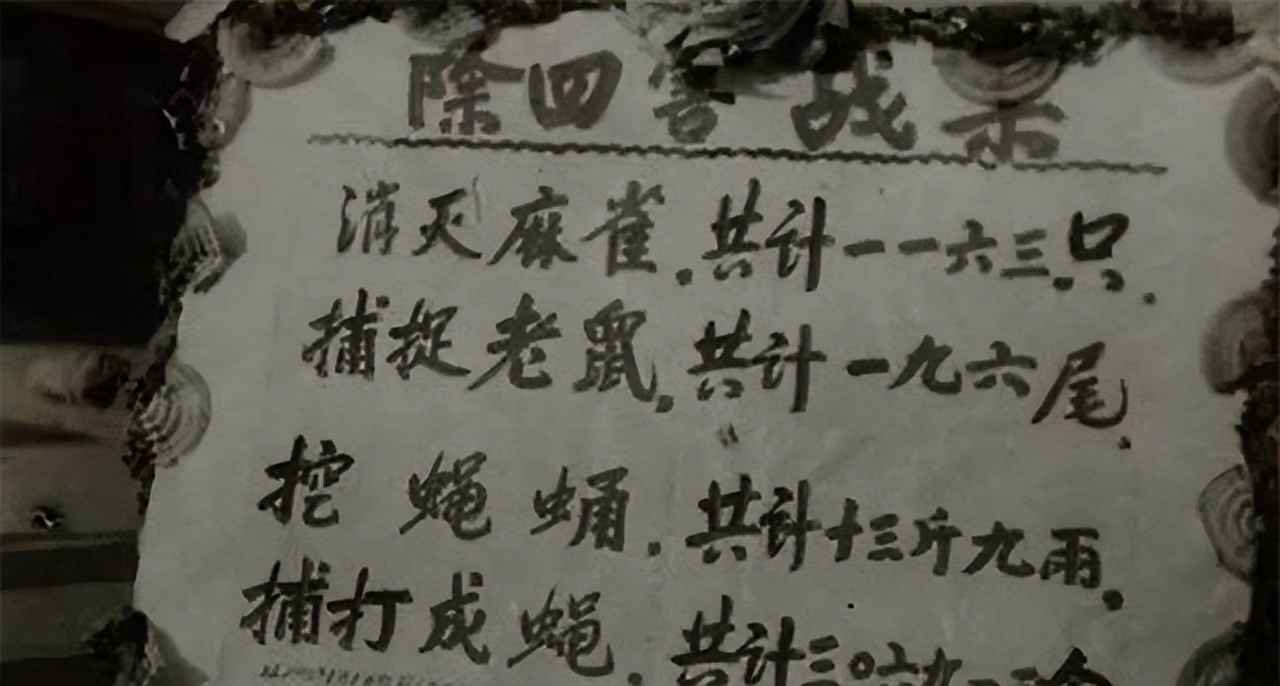 灭鼠大王邱满囤为什么不交秘方,灭鼠大王邱满囤5位专家