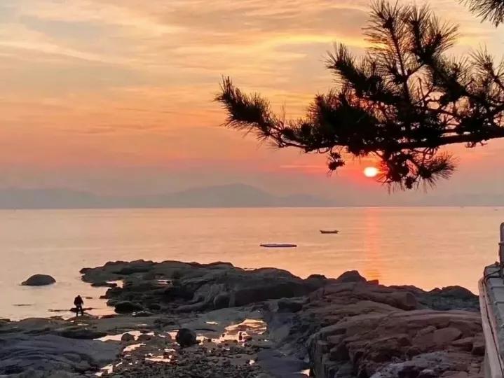 学城轨专业浪漫文案,各大专业的浪漫文案心理学