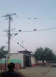 搞笑图片发烧,小女孩gif搞笑动态图片大全