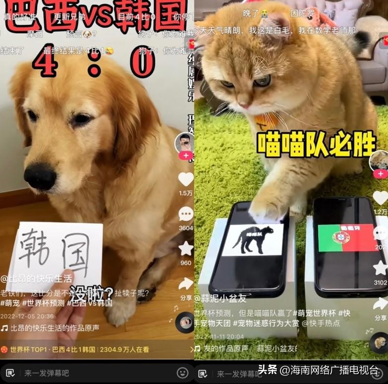 世界杯c罗内马尔舞蹈,各大网红跳内马尔胜利之舞