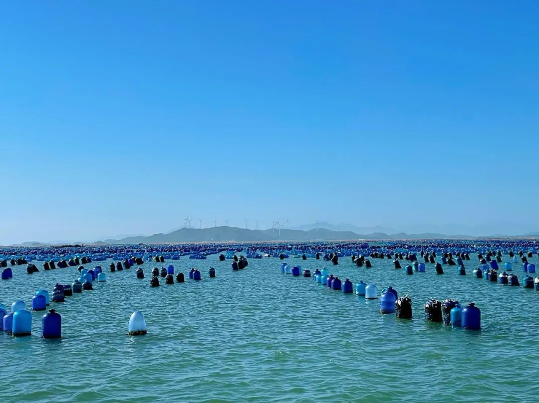 汕头潮州南澳岛旅游攻略,潮州汕头南澳岛自驾游攻略