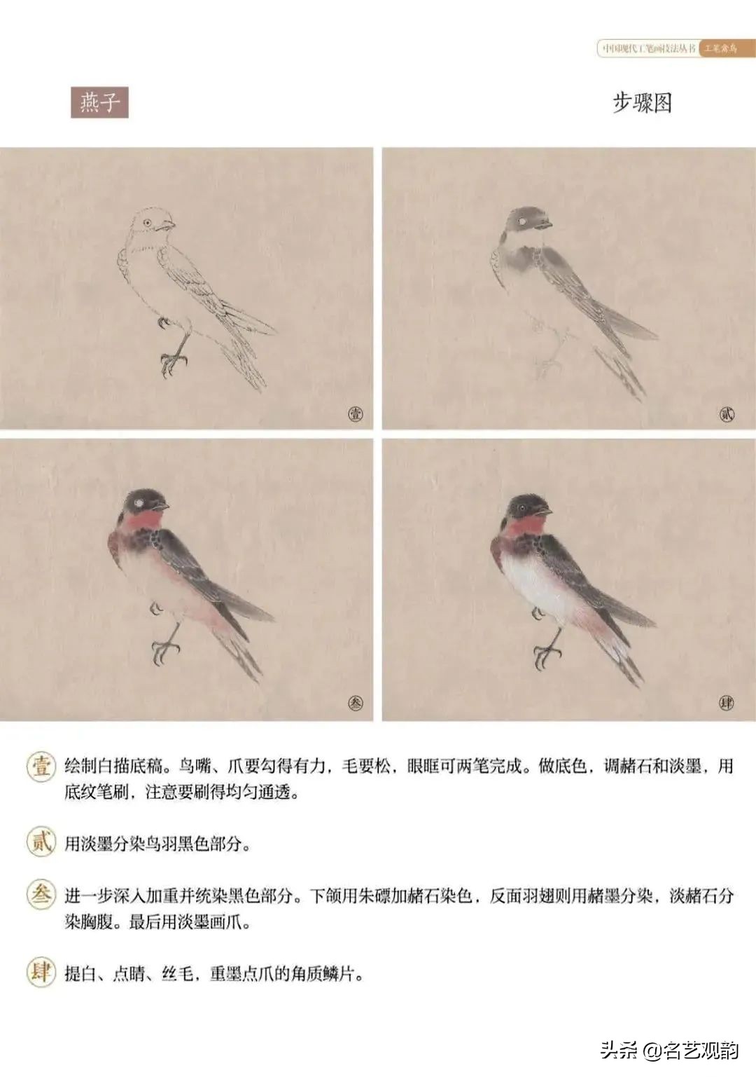 国画禽鸟写意教学视频,工笔禽鸟圆扇图片大全