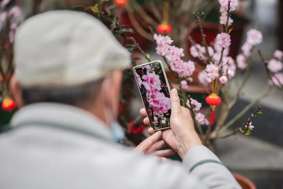 今年的广州花市在哪里,今年广州花市开市时间