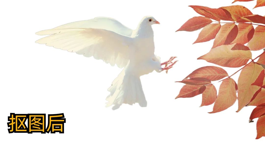 超好用的抠图神器一键抠图超方便,超火的抠图软件一键抠图简单易学