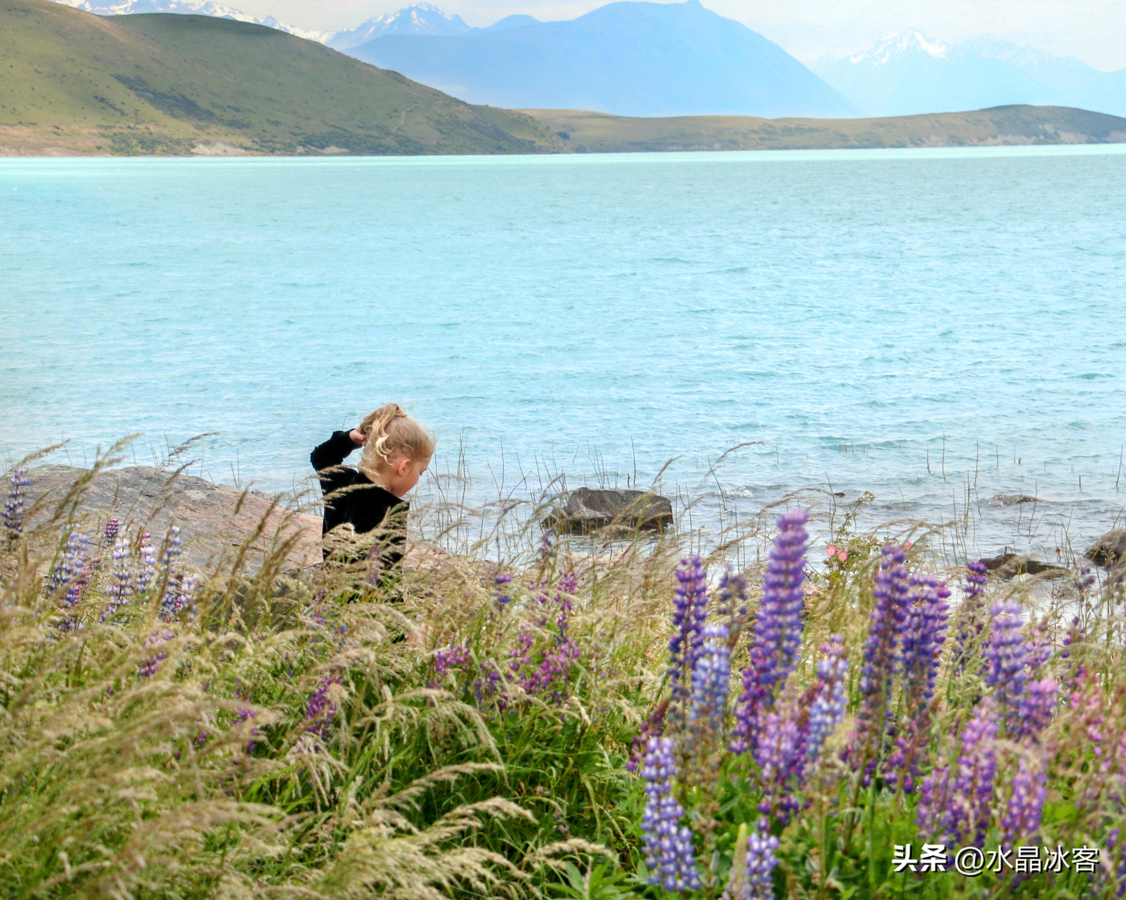 南岛新西兰之旅,新西兰之南岛