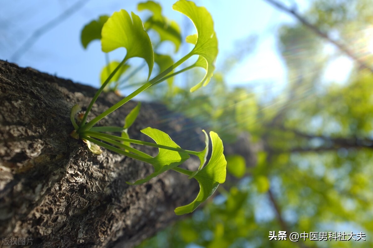 前列腺炎湿热,湿热蕴结和湿热瘀阻前列腺炎区别