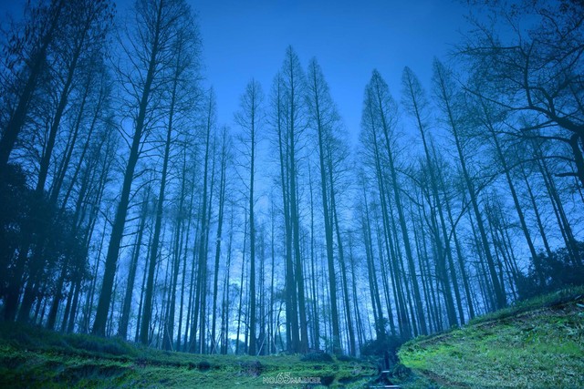 写作的七种方法和技法,熟记十种常见写作手法有哪些