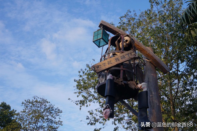 周末白相里的一张床、一群朋友、暴走于迪士尼乐园