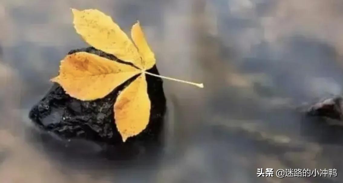 你以为加个班失个恋就人生艰难了？难的还在后边