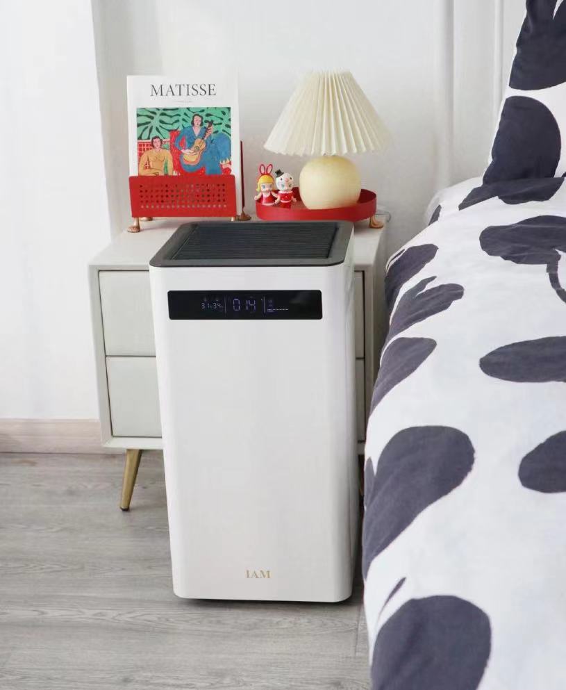 养猫家庭怎么选择空气净化器,养猫空气净化器好还是加湿器好