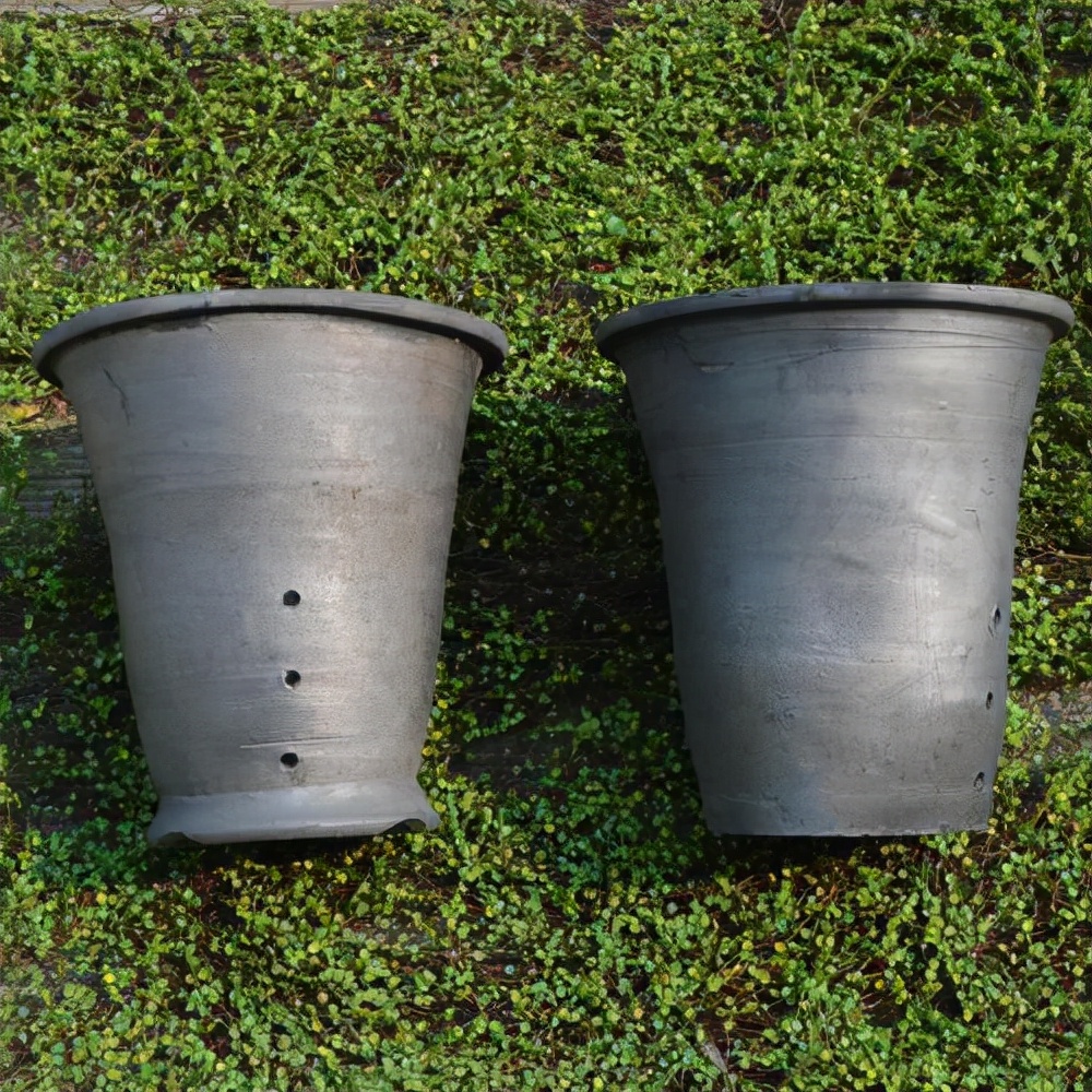 养兰仿紫砂花盆好不好,紫砂盆和塑料盆养兰对比