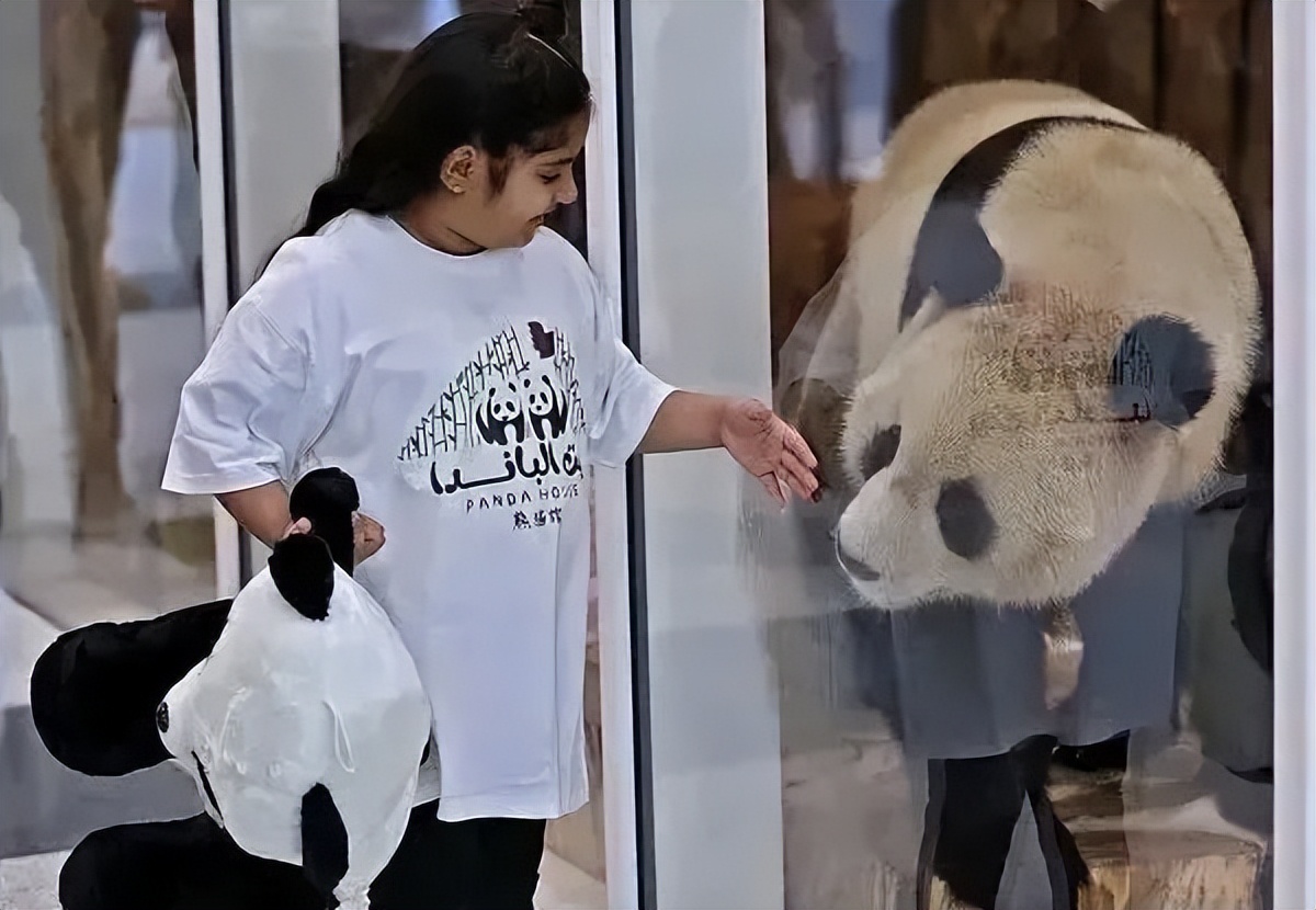 足球世界杯从何时开始的,世界杯足球都是哪举办的