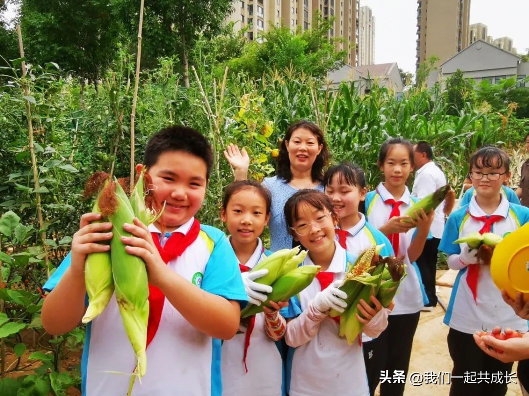 西河村西河小学,龙泉西河小学教学