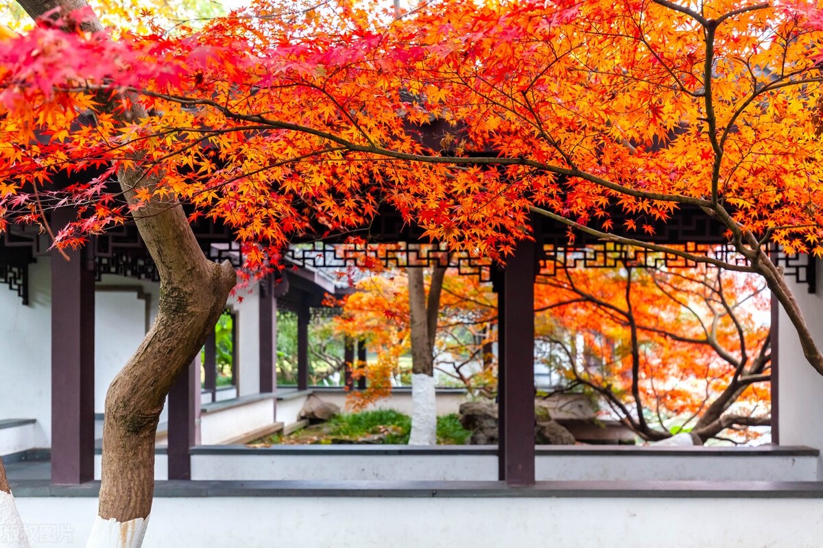 部编版九上语文目录,送东阳马生序原文