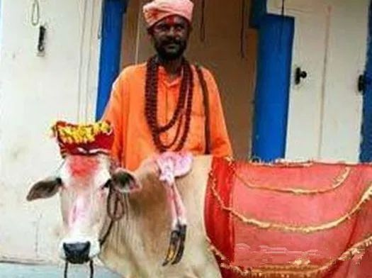 印度牛粪是第几产业,外国人看印度牛粪产业