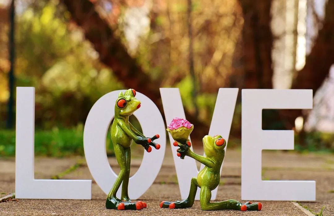 怎样让喜欢的人也喜欢我,怎样让喜欢的人喜欢我