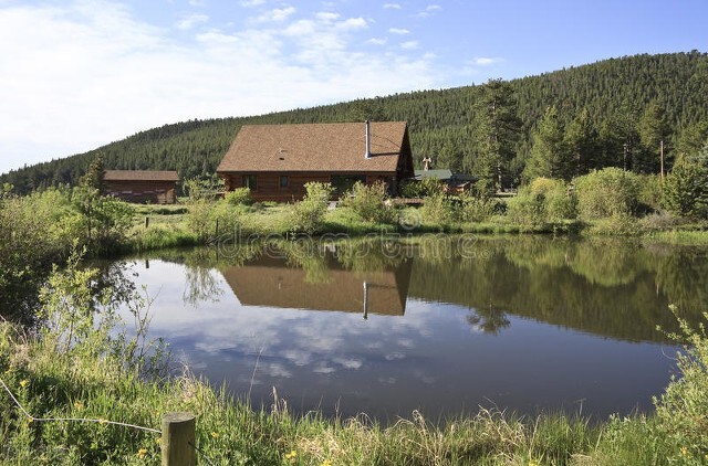 农村养殖罗非最有前景,养殖创业记录视频