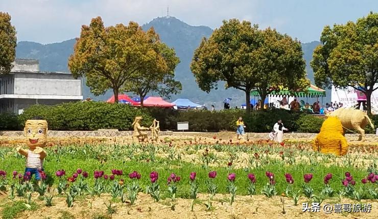 丽水青田自驾游景点大全图片,浙江丽水青田旅游攻略