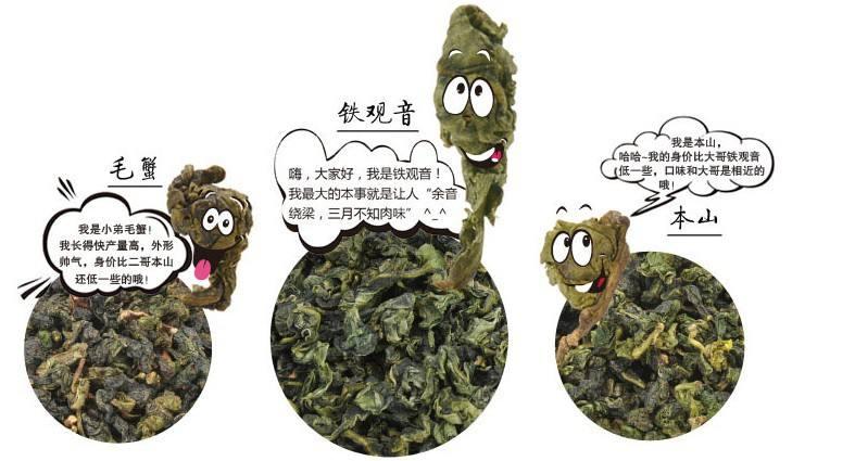 什么茶叶适合喝铁观音,十个铁观音茶叶知识小问答
