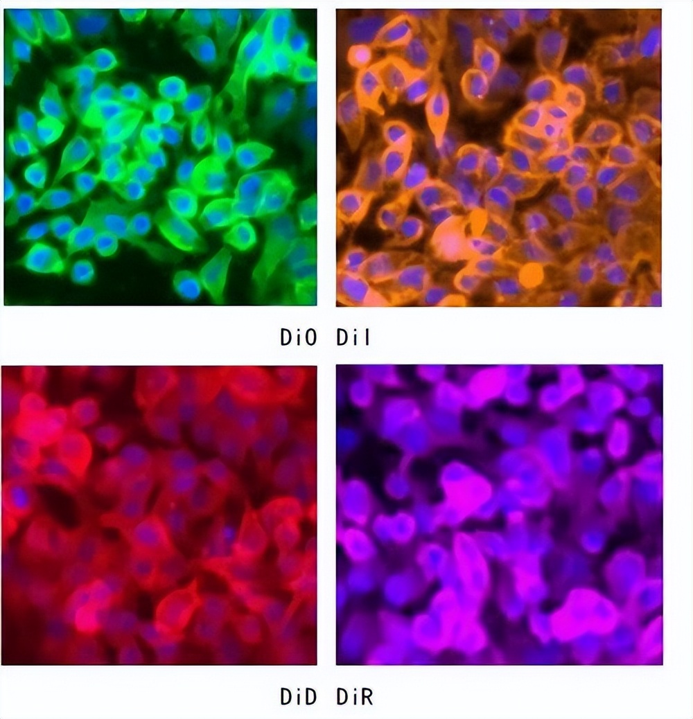 荧光探针的识别机理：ICT、PET等有什么区别？