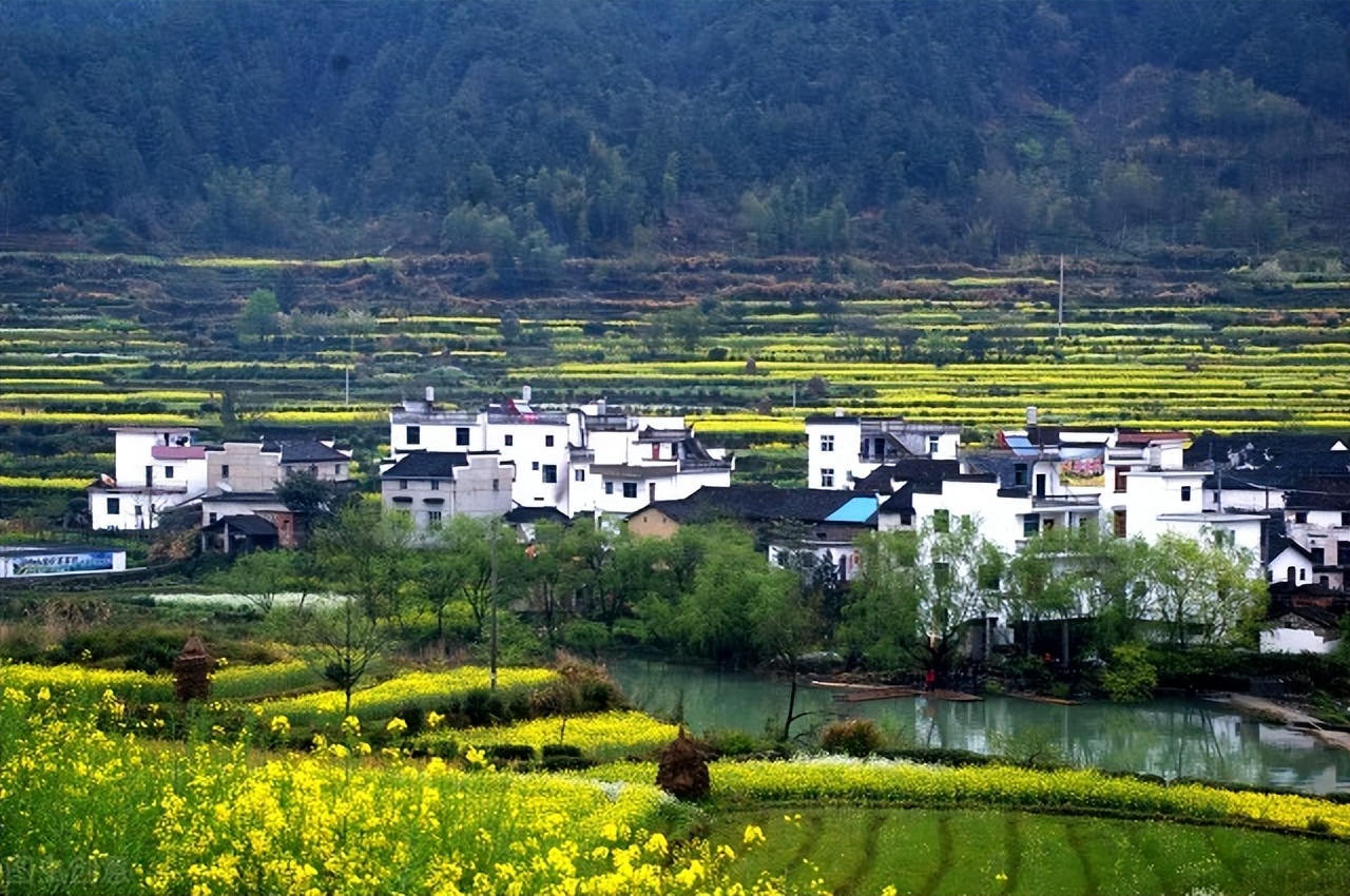 若有所思原唱,乌镇之恋深度解析